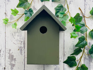 Bird Box, Robins appear when loved ones are near