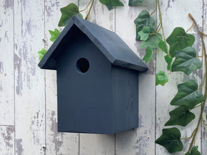 Bird Box, Robins appear when loved ones are near
