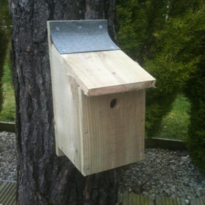 Make your own Bird Box Kit - Wudwerx
