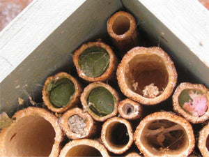 Bee Hotel, Bee House, Large, in 'Wild Thyme'. Can be personalised.